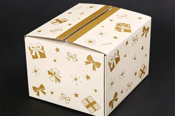 Delivery Packaging