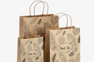 Matching Paper Bags2